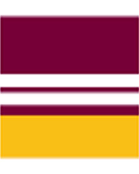 Brisbane Broncos logo