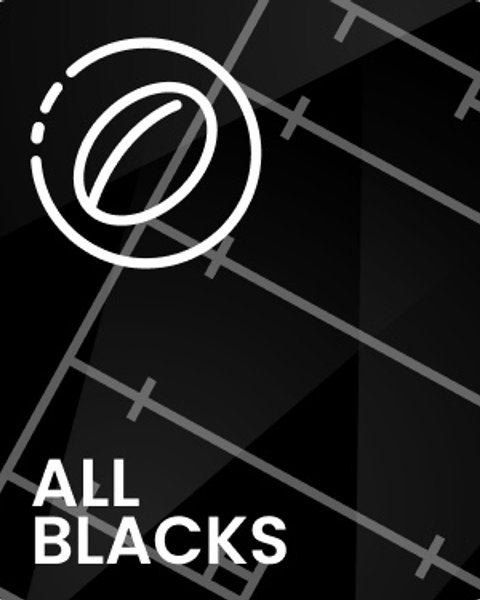 All Blacks vs Wallabies - Auckland