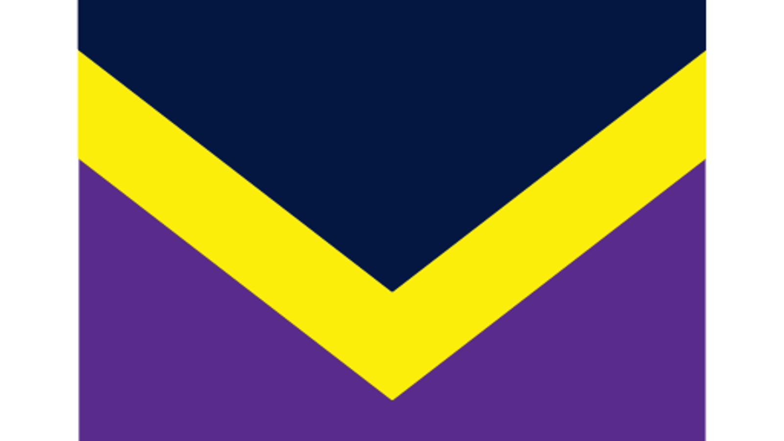 Melbourne Storm logo