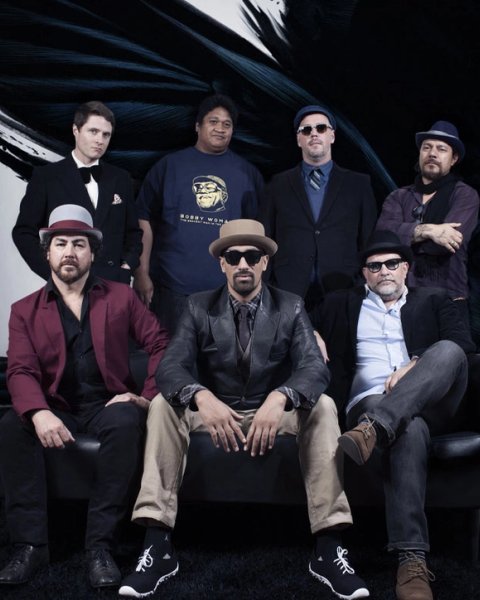 Fat Freddys Drop